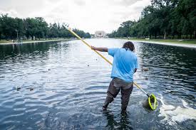 Algae forms in the Reflecting Pool. It’s ‘residual,’ Trump officials say.