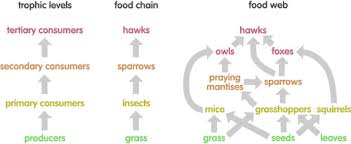Image result for organisms and their environment