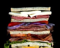 cross-section of a sandwich