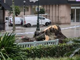 Cerrados siete parques de Vigo por el temporal