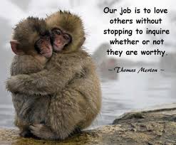 Amazing 7 eminent quotes about monkeys photograph German ... via Relatably.com