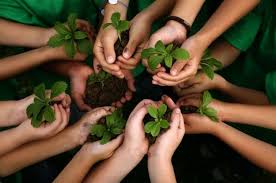 Image result for community service