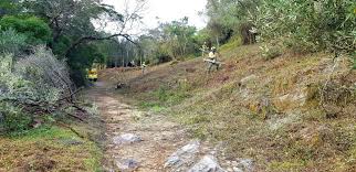 Plataforma tecnológica ajuda proprietários a limpar terrenos