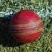 Image result for funny images in cricket history