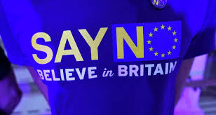 Image result for eu in out referendum