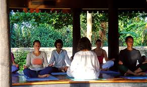 Image result for yoga schools