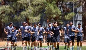 دراگان اسکوچیچ پرسپولیس