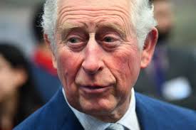 Livro aponta o que Charles disse após morte de Diana; Buckingham responde