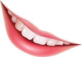 Image result for teeth