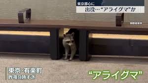 Yahoo!ニュース - News update