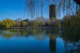 《政治学十五讲》智能书发布会举行