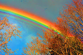 Hasil gambar untuk PELANGI