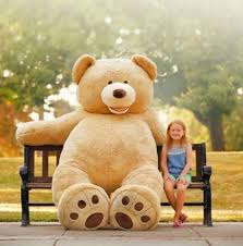 images of teddy bear के लिए चित्र परिणाम