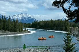 Image result for Jasper National Park – Alberta, Canada