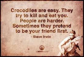 Steve Irwin | Quotes &amp; Words | Pinterest via Relatably.com