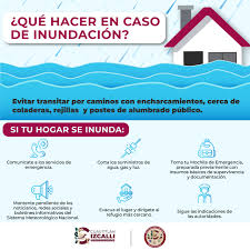 SerNoticias.com.mx - News update