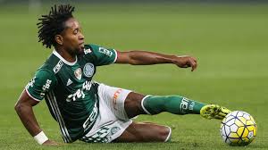 Resultado de imagem para zé roberto do palmeiras