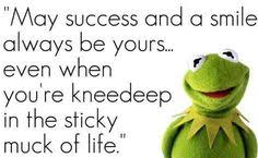 Kermit on Pinterest | Jim Henson, Frogs and The Muppets via Relatably.com