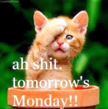 Just For Gags Collections: tomorrows monday funny quotes cute ... via Relatably.com