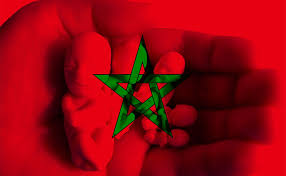 Résultat de recherche d'images pour