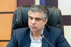 زندیه‌وکیلی: اجرای طرح یارانه خرید اقلام اساسی آغاز شد
