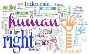 Pengertian Ham, fungsi dan tujuan Komnas Ham