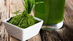 Image result for Spirulina