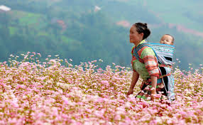 LOI RU TREN NUONG