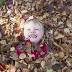 Nature Play CBR: Canberra families encouraged to put down the ...