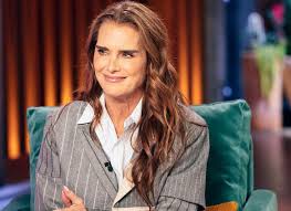 Brooke Shields Returns to TV in 'You're Killing Me'