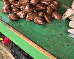 Image of Mercado de Mariscos in Rosarito