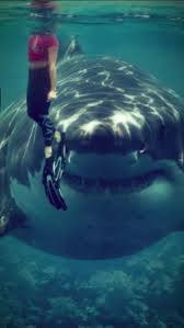  (@chip_kh_) | TikTok