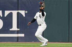 White Sox Notes
