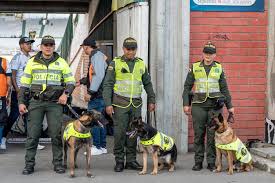 Centro de Información – Alcaldía de Manizales - News update