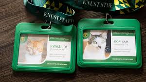 KNUST Give ID Card Give Demma Campus Cats: Kwasi Joe & Kofi Sam Get Official Recognition!