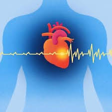 Study: AI Model Can Read Cardiac MRI Scans with Near Expert Accuracy