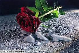 نتیجه تصویری برای حرفات همش بهانه بود