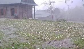 News source: Báo Sức khỏe & Đời sống