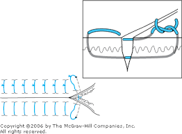 Image result for simple continuous suture pattern