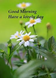Good Morning SMS in Hindi Urdu Wallpaper Greetings | DailysmsPK.Net via Relatably.com