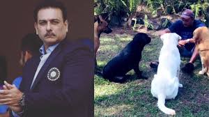 Cricket legend Ravi Shastri, aka 'Champion of Champions', Alibag farmhouse is a coastal haven with pool, bar and open spaces