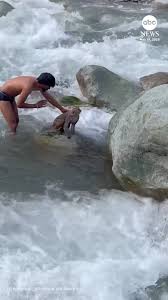 Two men in India sprang into action when they spotted a stranded monkey in a rushing river.