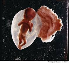 Image result for drama of life before birth