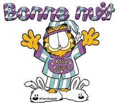 Résultat de recherche d'images pour "bonne nuit"