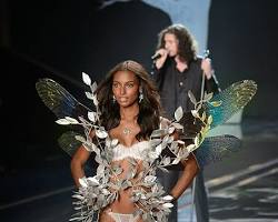 Image de Victoria's Secret Fashion Show