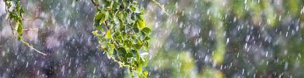 Met Office - News update