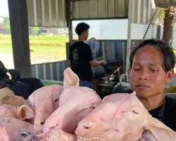 Gambar Hidangan Kepala Kambing Mbak Resty yang menggugah selera