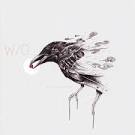 Aerion - Official Site