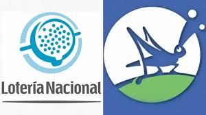 El Destape - News update