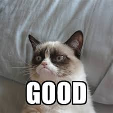 images?q=tbn:ANd9GcSD8K6_1By82SOvx-hCB3xaviuGWPk1yVlhcgXnlJW3iLn_ER1tqA